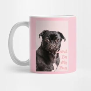 Loved by my pug Mug